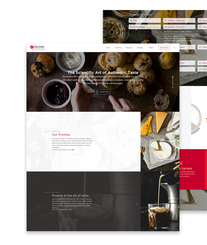 edlong-design Web Design, ICT and Marketing Agency